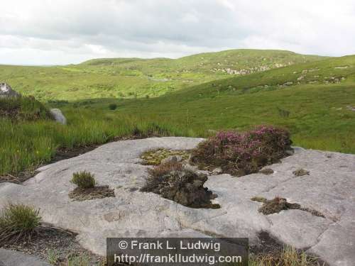 Slieve Daeane, Birds Mounatin